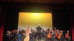 L\' Armonia Velata / Prikrito sozvočje