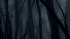 Martina Testen & Simon Šerc: Nokturno