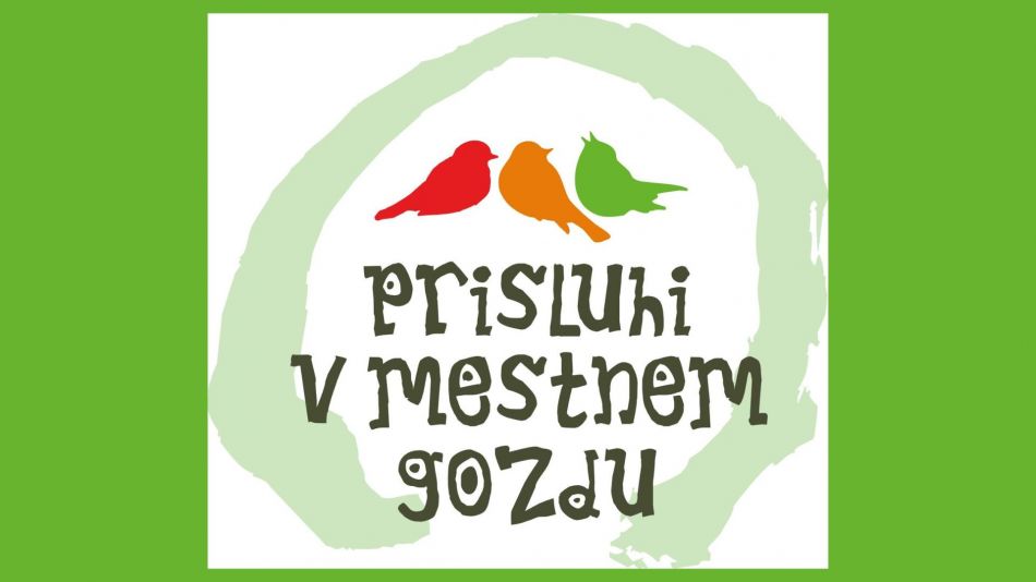 Prisluhi v mestnem gozdu
