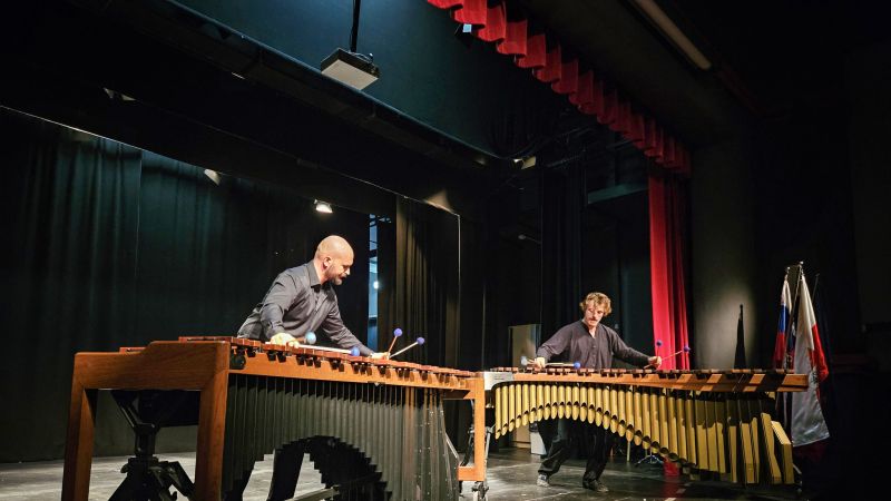 Dendrocopos Duo na Zvokotoku. Dendrocopos Duo na Zvokotoku.