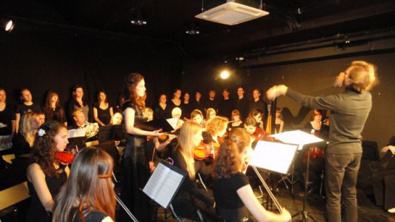 Orkester muzikološkega društva pod dirigentskim vodstvom dr. Gregorja Pompeta (foto: Slovensko muzikološko društvo)