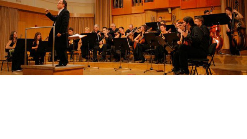 Orkester Mandolina Ljubljana (foto: arhiv orkestra)