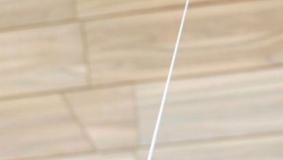 Dirigent Alpaslan Ertüngealp (foto: Arhiv RTV Slovenija)