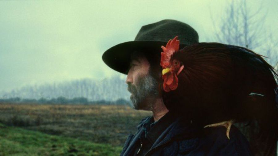 Tomaž Pengov (foto: Kino Šiška)