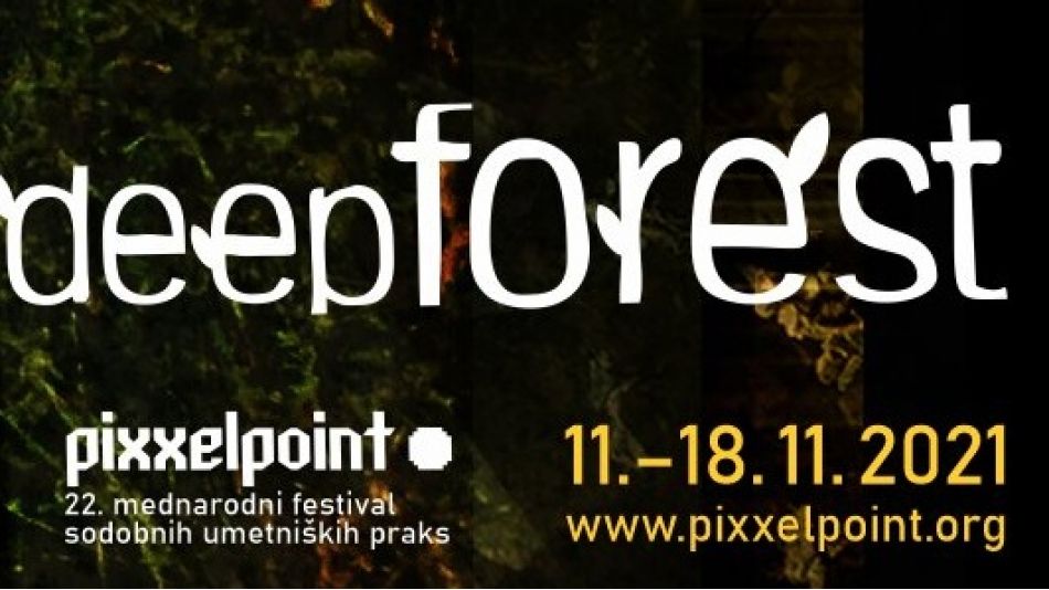 Pixxelpoint 2021