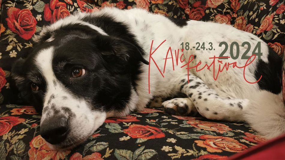 Prijavi se na Kavč festival
