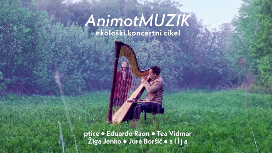 AnimotMUZIK