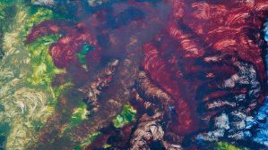 Nekropola ni le najtehtnejše delo pričujoče izdaje, temveč bi zlahka obveljala za kulminacijo ustvarjalnega delovanja Štuheca. Morda bo skladatelj ta višek v bodoče še presegel.