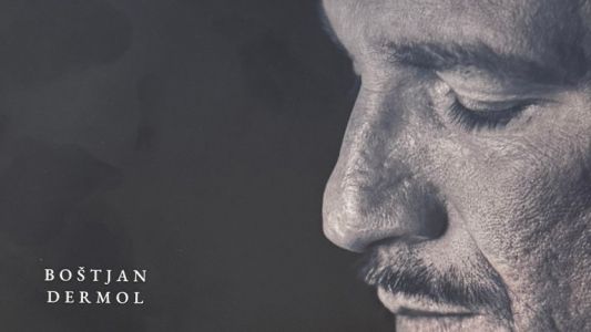Boštjan Dermol: Q