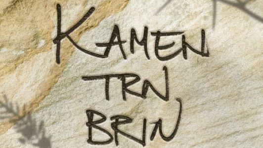 Rudi Bučar: Kamen trn brin