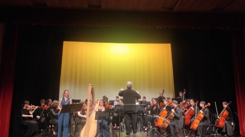 L\' Armonia Velata / Prikrito sozvočje