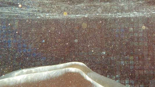 nosferatu3285: The Shape of Things to Come