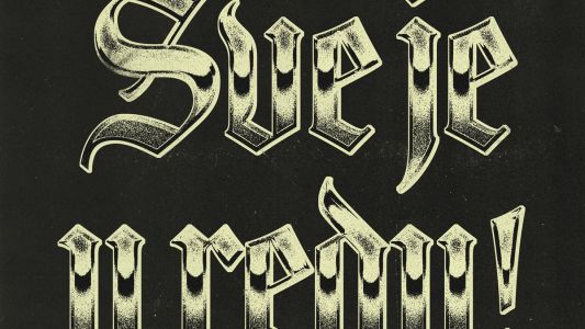 Damir Avdić: Sve je u redu!