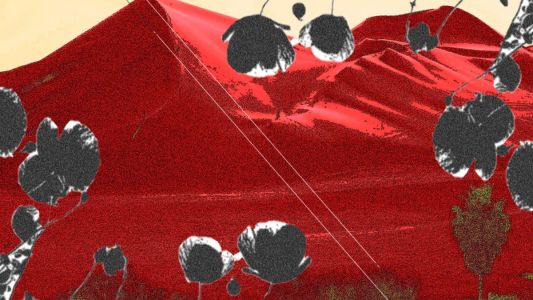 Darla Smoking: New Mescaline