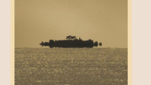 Alchemical Playgrounds: Surreal