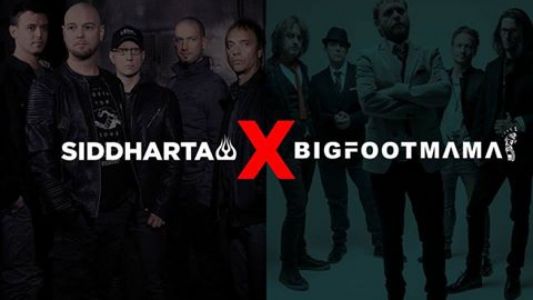 Siddharta &amp; Big Foot Mama