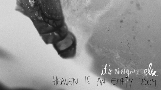 It's Everyone Else: Heaven is an empty room