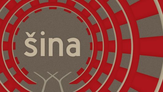 ŠINA - 8. festival eksperimentalne umetnosti