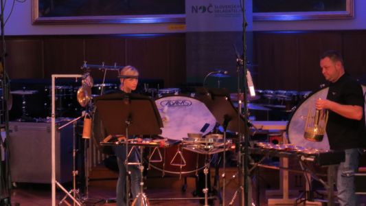 Slovenski tolkalni projekt