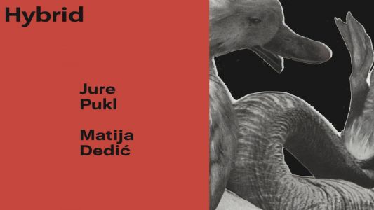 Jure Pukl &amp; Matija Dedić: Hybrid
