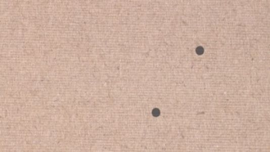 Nina Dragičević: Med njima je glasba: Glasba v konstrukciji lezbične scene