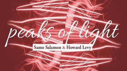 Samo Šalamon &amp; Howard Levy: Peaks Of Light