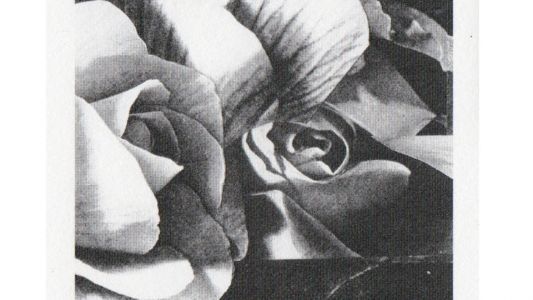 Primož Bončina: Deaf Love