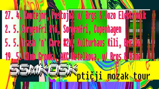 Ptičji mozak Tour