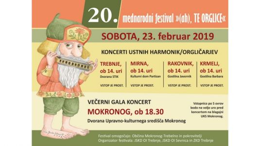 Dvajset let festivala Ah, te orglice