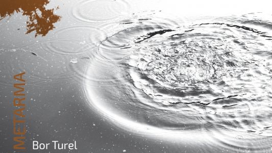 Bor Turel: Metarma