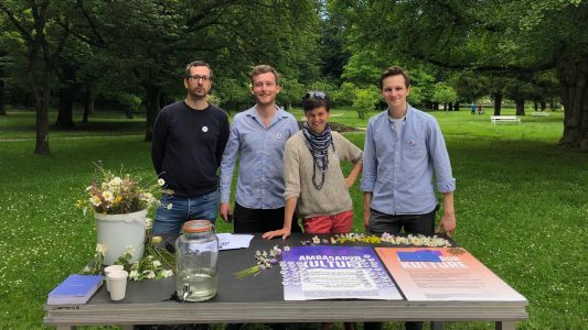 Ambasadorja kulture - Celje