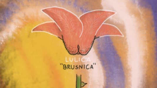 Lulica: Brusnica