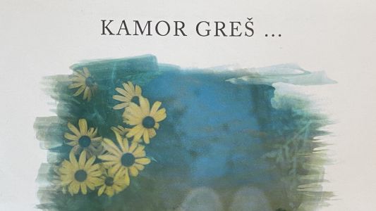 David in ukradeno pero / Tomaž Pengov: Kamor greš …