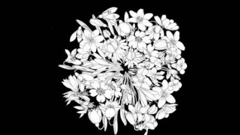 Zvončki in trobentice 2020