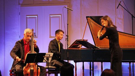 Domen Marinčič, Tomaž Sevšek, Anne Freitag