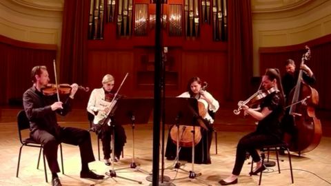 Godalci Slovenske filharmonije
