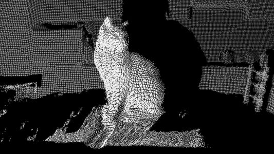 Marta Fakuch: The Meaning