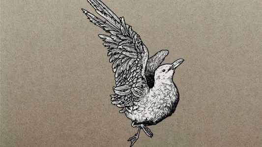 Gašper Letonja: Gull