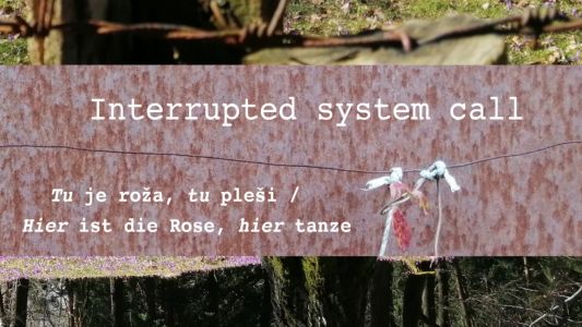 Interrupted System Call: Tu je roža, tu pleši / Hier is die Rose, hier tanze