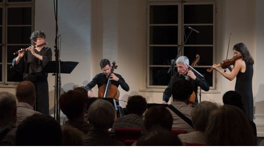 Mara Winter, Gregor Fele, Domen Marinčič, Mojca Jerman