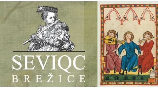 Seviqc Brežice