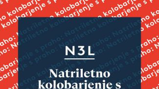 Minimalizem, ki ga narekujeta zvok kitare in bobnov, bi ob upoštevanju »pravil igre« glasbenega biznisa lahko hitro padel v kategorijo White Stripes ali The Black Keys, vendar v dvojcu Novak-Buh prej zazveni kot kakšna novodobna Brecelj-Feo naveza.
