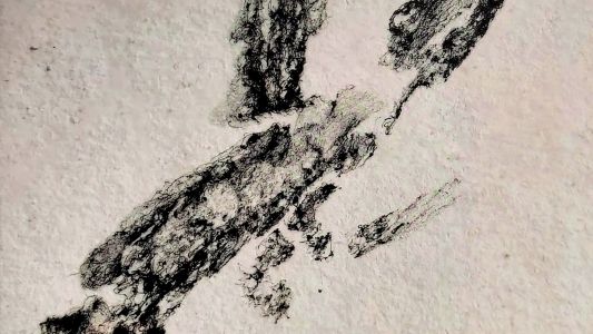 Samo Kutin &amp; Pascal Battus: Living Bridges