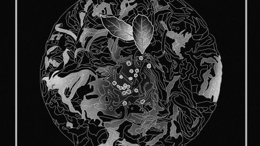 Drašler Røysum Trio: BorderlessSoutheastofTheNorth