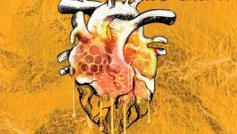 Kristijan Krajnčan Quartet: Med se iskri v temi / Honey Sparks in the Dark