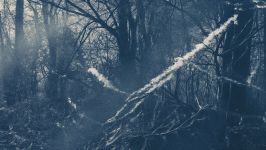 Maj kavšek: Minor Flow