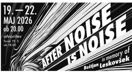 After Noise Is Noise