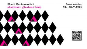 Mladi raziskovalci