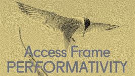 Različni izvajalci: Access Frame: Performativity