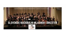 Slovenski nacionalni mladinski orkester